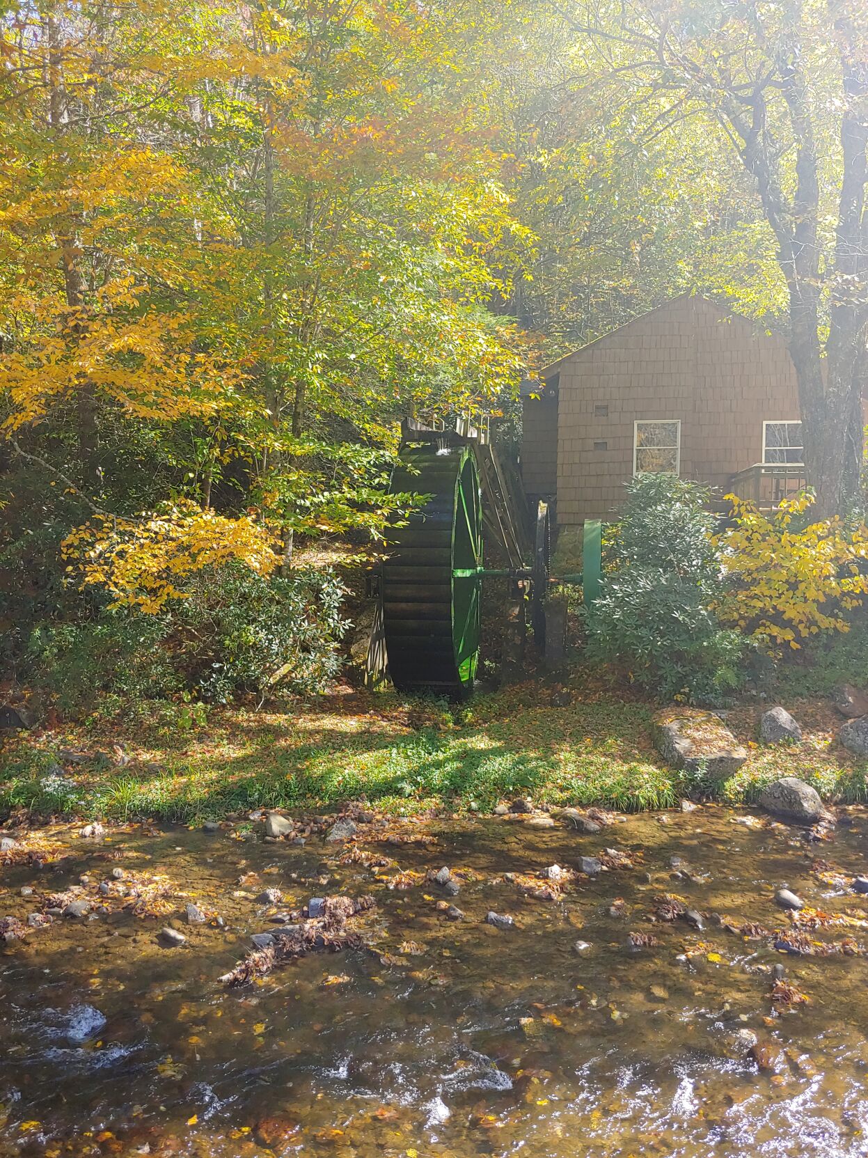 roan center.jpg